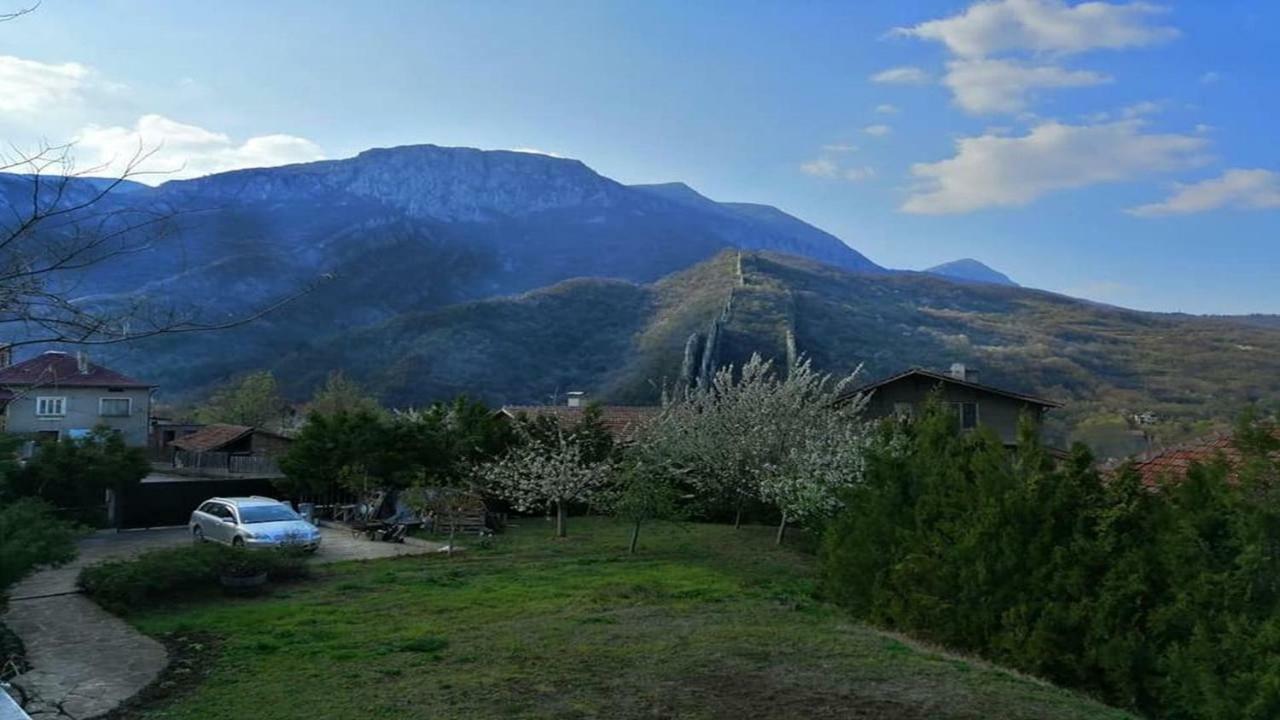 Къща За Гости "Мечта" Lyutibrod Exterior foto